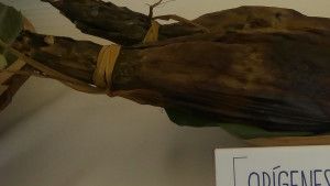 IMG_20190824_110805