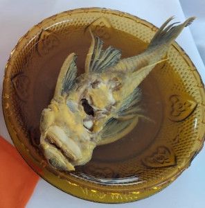 126 Caldo de carachama 2020