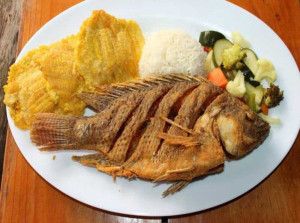 Arroz con tilapia-Chuquibamba